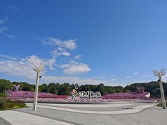 -上海鲜花港