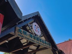 -上海海湾国家森林公园