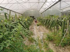 -洪湖家庭农场·团建·露营·会议