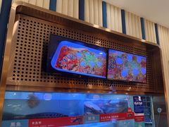 -三江源活鱼现烤(维多利摩尔城店)