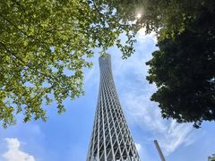 -广州塔晖粤轩中餐厅