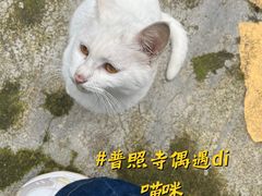 -都江堰普照寺