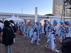 -台场海滨公园船码头