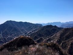 -大岭沟猕猴桃谷风景区