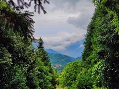 -青城山