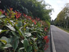 -贵阳市花溪国家城市湿地公园