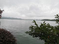 -浙江西子宾馆·瑶园咖啡厅