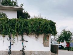 -翠田Green Field Kitchen