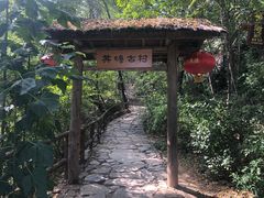 -井塘古村