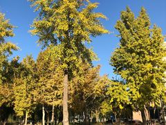 -廊坊文化艺术中心