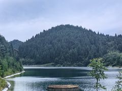 -武陵山森林公园