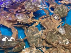 -SEA西雅图海鲜自助餐厅(海乐世界店)