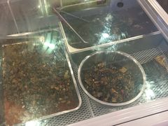 -鸿运兔·手撕烤兔(天府广场店)