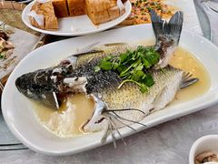-大树头森林餐厅(番禺广场店)