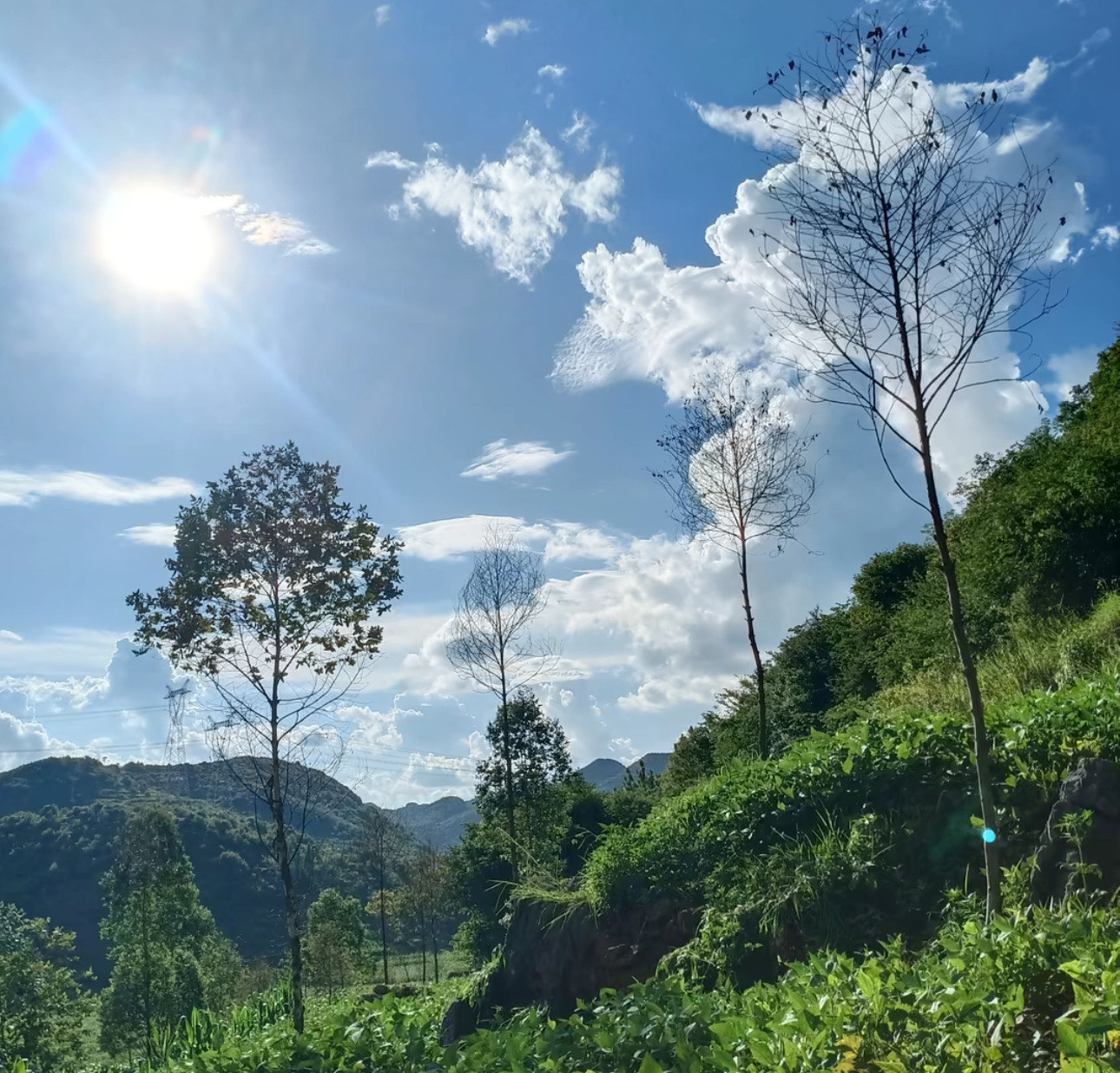 大自然风景真实 农村图片