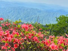 -大围山国家森林公园