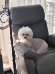 -Pink You美甲洗眉纹绣定制中心