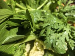 -牛品福潮汕牛肉火锅(旺庄店)