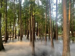-东湖落雁景区
