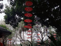 -广州市白云山风景名胜区