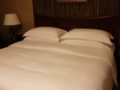 -上海红塔豪华精选酒店