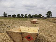 -嘉北郊野公园