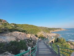 -广东惠东海龟国家级自然保护区