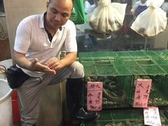 -荔城生鲜盛宴(番禺旗舰店)