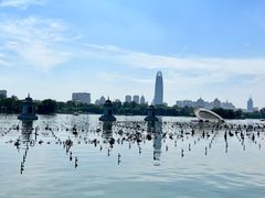 -济南大明湖景区
