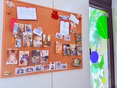 -佩兹宠物医院肿瘤专科·眼科·牙科(黄浦店)