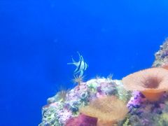 -常州海昌海洋探索馆