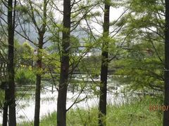 -广州市石门国家森林公园