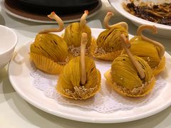 -上海新锦江大酒店
