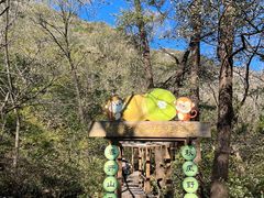 -大岭沟猕猴桃谷风景区