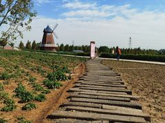 -君乐宝优致牧场