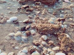 -西涌国际滨海旅游区