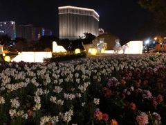 -龙环葡韵住宅式博物馆