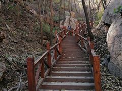 -大岭沟猕猴桃谷风景区
