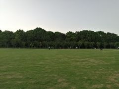 -昆山城市生态森林公园