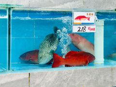 -考记泥焗鸡农庄·海鲜(北洛秘境店)