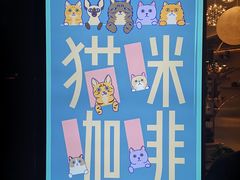 -飞行喵MR PILOT|猫舍·猫咖(静安大融城店)