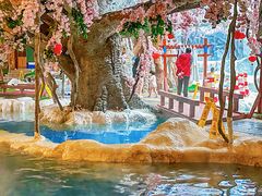 -中铁花水湾温泉酒店(大邑店)