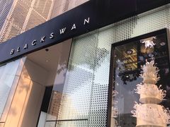 -BLACKSWAN黑天鹅(环球店)