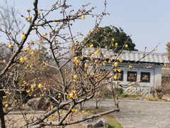 -无锡梅园公园