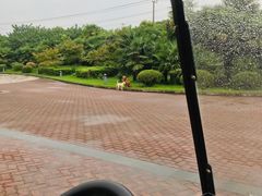 -太阳岛度假酒店
