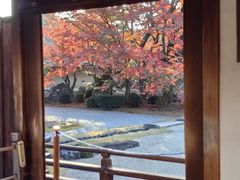 -醍醐寺
