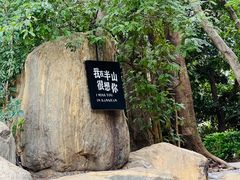 -湖泉半山温泉