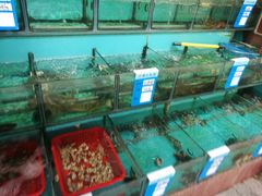 -西涌国际滨海旅游区