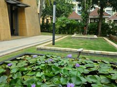 -三亚海棠湾万丽度假酒店