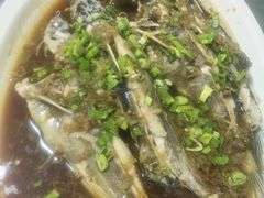 酱椒蒸翁公鱼-漫渡庄绿岛花园•隐世庭园菜(滨湖店)
